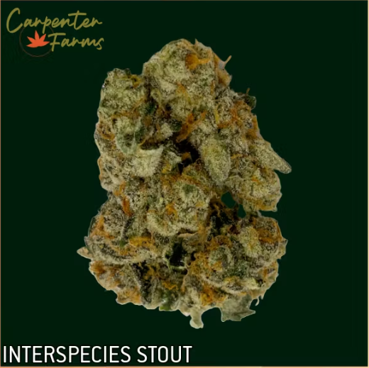 Photograph of product: Carpenter Farms: Flower | Interspecies Stout - 3.5g