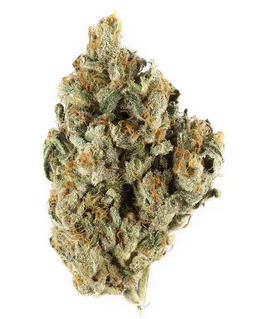 Photograph of product: London Pound Mints 11 - 3.5g