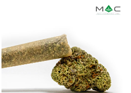 Photograph of product: Pre-Roll | LA Beatnik | 1g