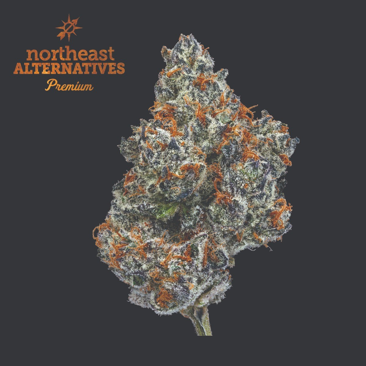 Photograph of product: Oreoz - 3.5g flower