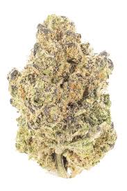 Photograph of product: Find | Kush Mintz x Animal Cookies 3.5g