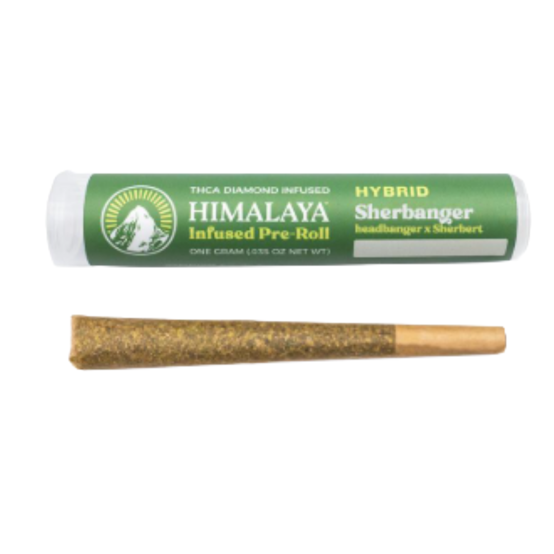 Photograph of product: HIMALAYA - SHERBANGER LIVE RESIN INFUSED 1G