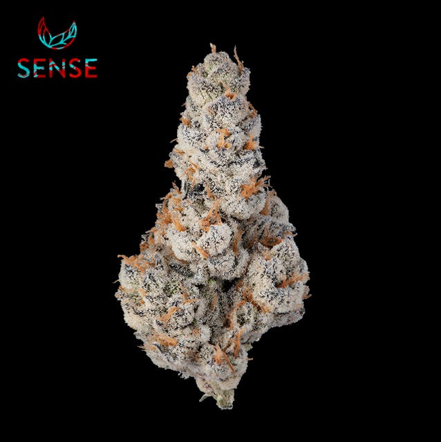Photograph of product: Sense - El Chivo #5 - 3.5g - 8th