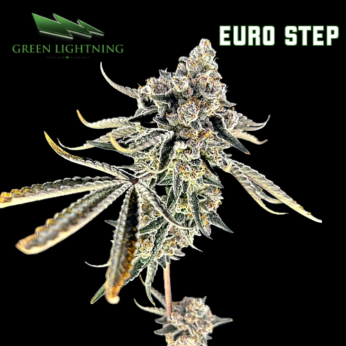 Photograph of product: Euro Step | Smalls - 7g