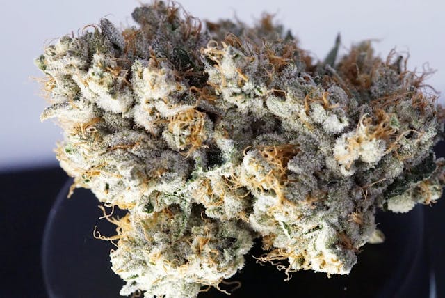 Photograph of product: 7G Flower Popcorn KushCo OG - KushCo OG
