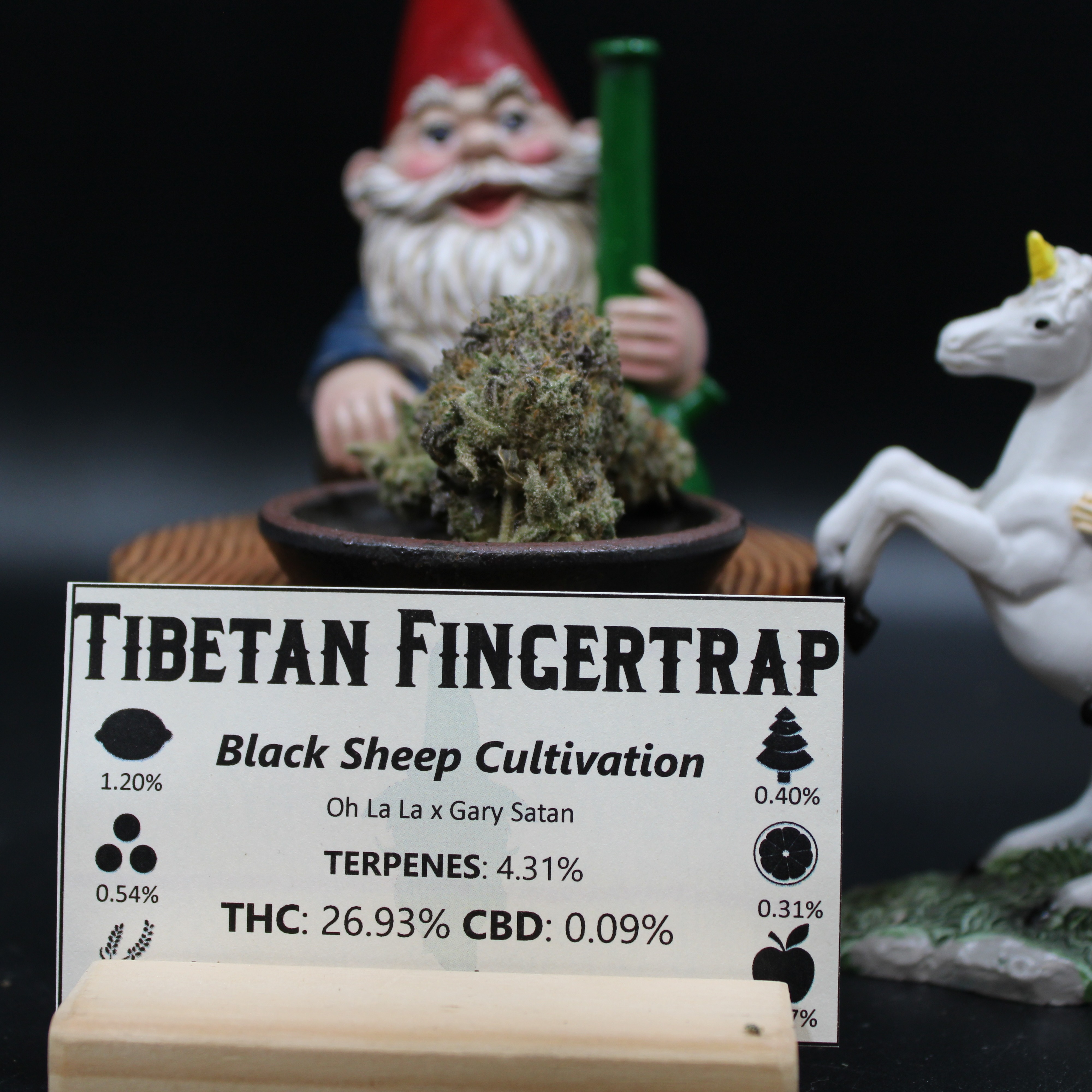 Photograph of product: Tibetan Fingertrap