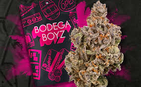 Photograph of product: Bodega Boyz | Jungle | Oui'd Flower - 3.5g
