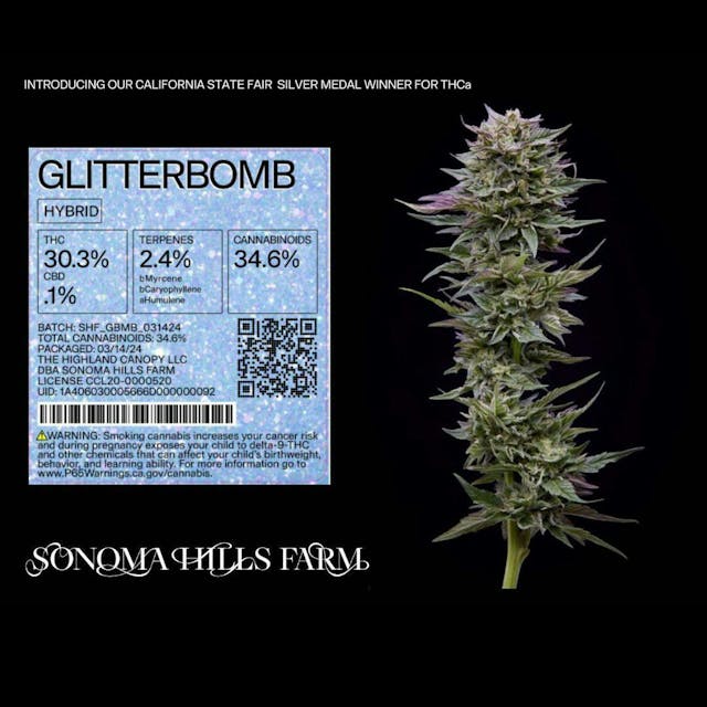 Photograph of product: GLITTER BOMB 3.5G Jar - 