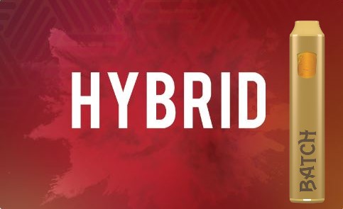 Photograph of product: Batch - Hybrid - Disposable