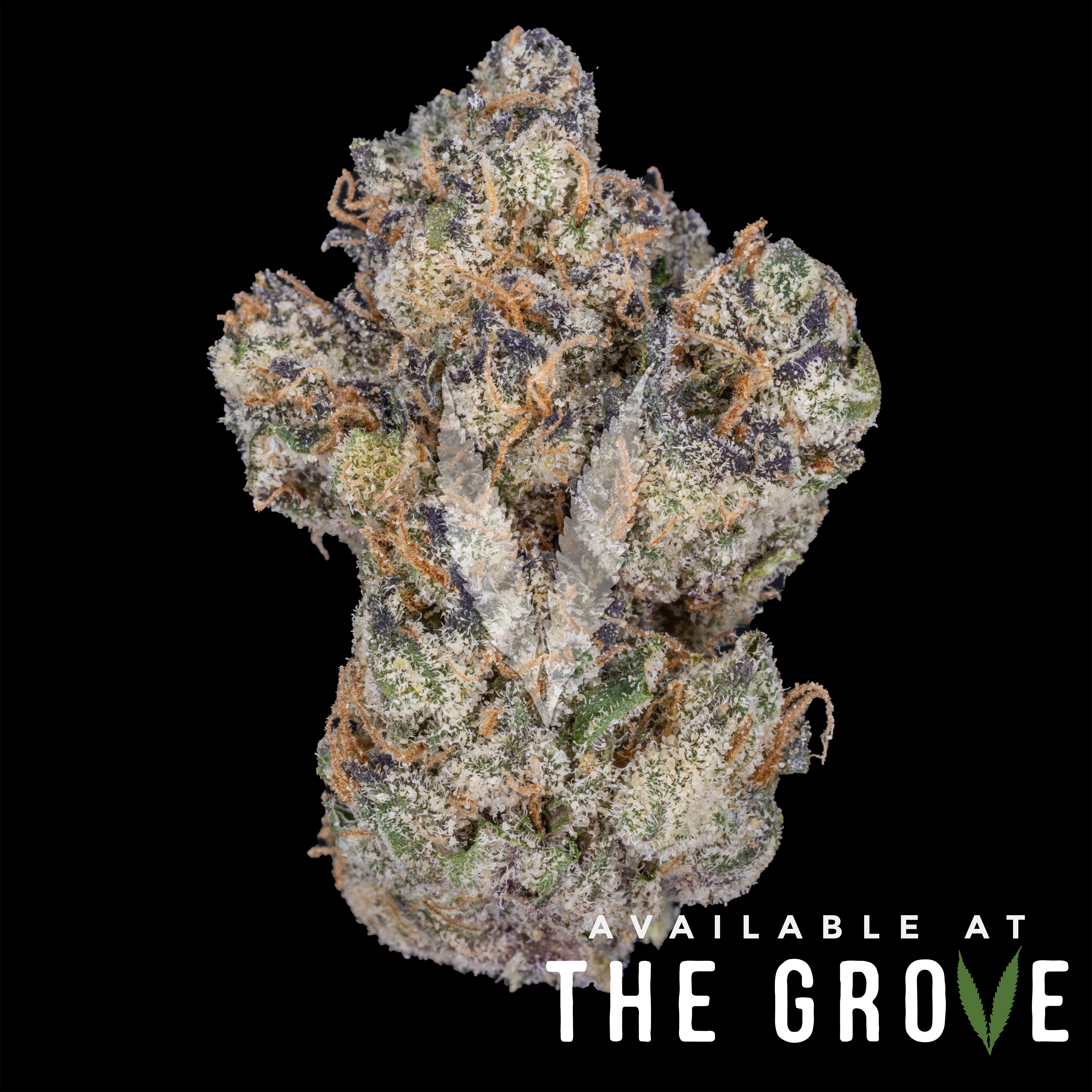 Photograph of product: Traditional | Blue Donut 1/8ths - 3.5g