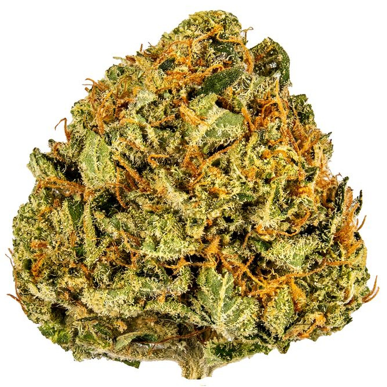 Photograph of product: Cherry Punch Full Flower