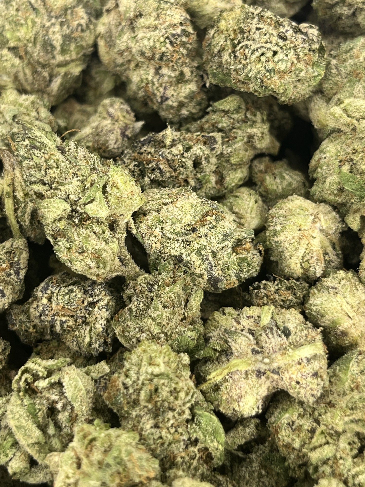 Photograph of product: Rainbow Sherbet 11 (H-I) 31% (Deli) - 28g