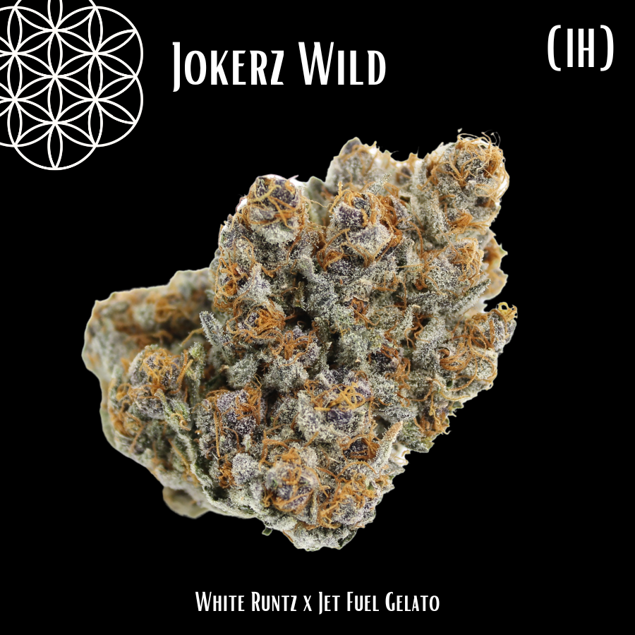 Photograph of product: Flower Of Life | Jokerz Wild | Hybrid | Bulk Flower | Bees Knees - 1g