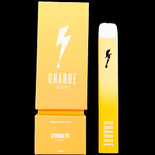 Photograph of product: Disposable | Georgia Pie | 1g | Charge Bars