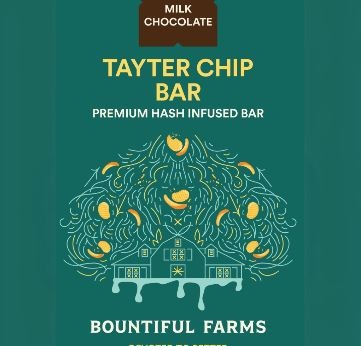 Photograph of product: 100mg Tayter Chip Bar