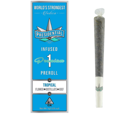 Photograph of product: Presidential - Tropical Preroll 1g