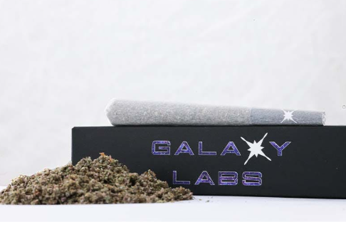 Photograph of product: BLUEBERRY DIESEL | 1G