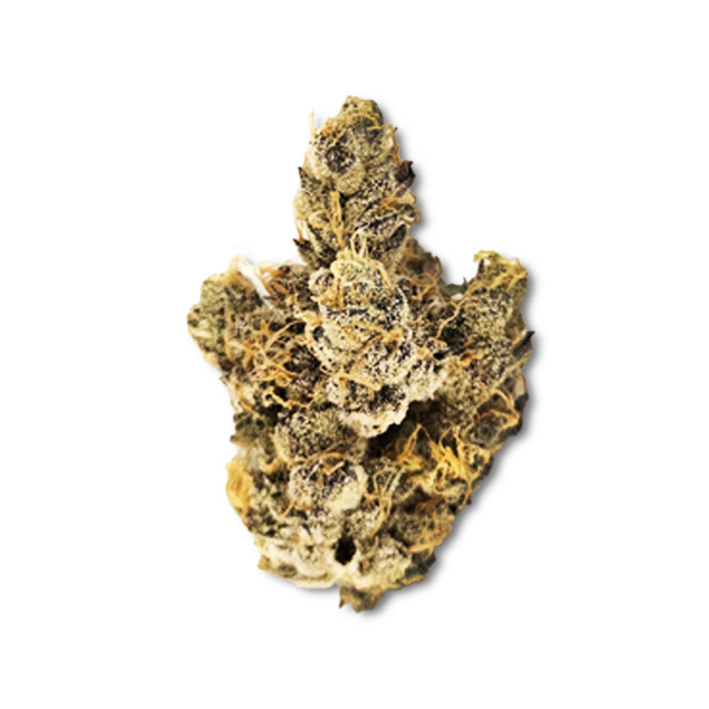 Photograph of product: Dosidos (April '25 Harvest) - 7g