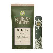 Photograph of product: Florist Farms | Gorilla Glue | AIO Disposable Vape | 1g