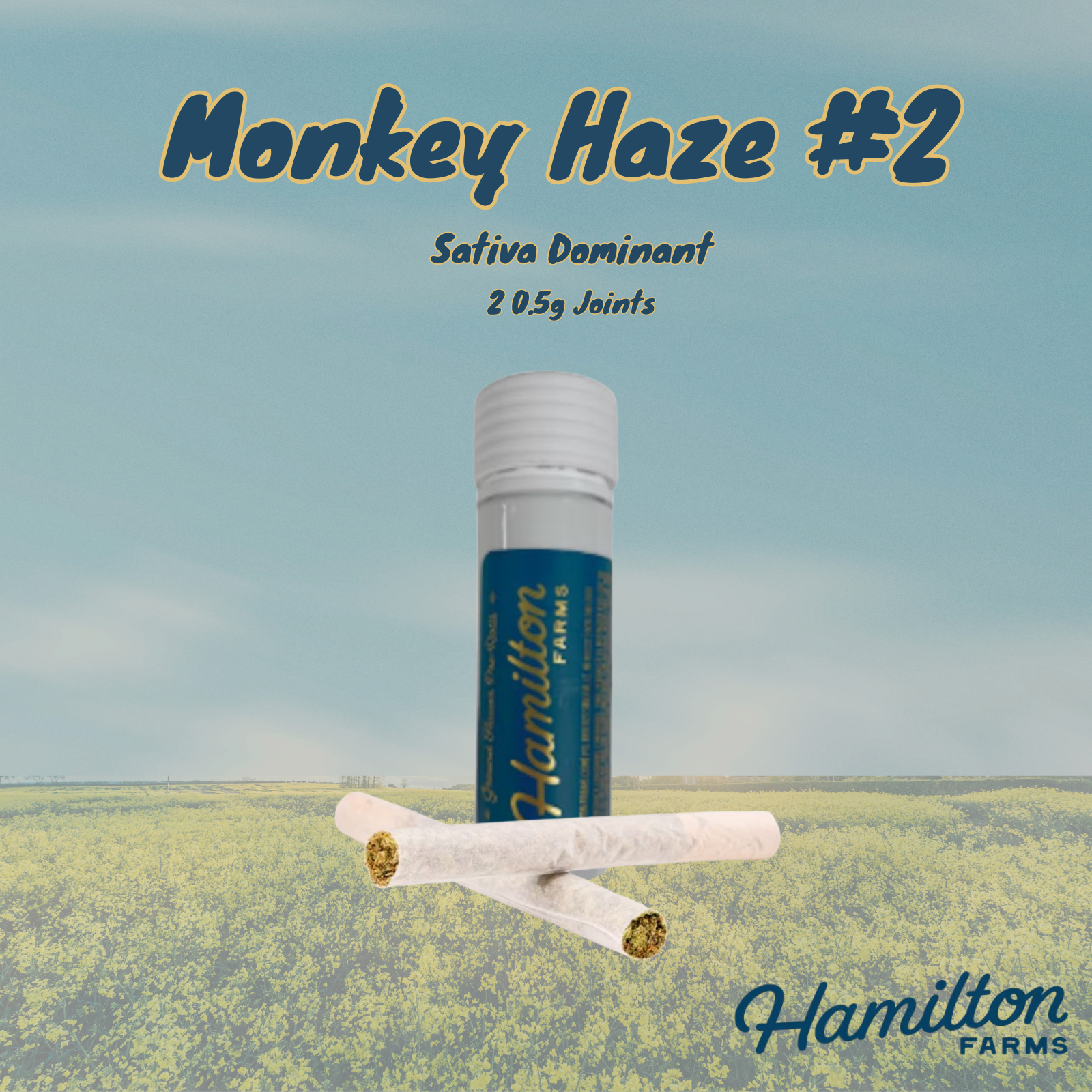 Photograph of product: Hamilton Farms 2pk | Monkey Haze #1 | 1g (Oui'd)