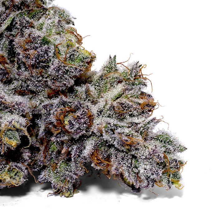 Photograph of product: Black Cherry - 28g