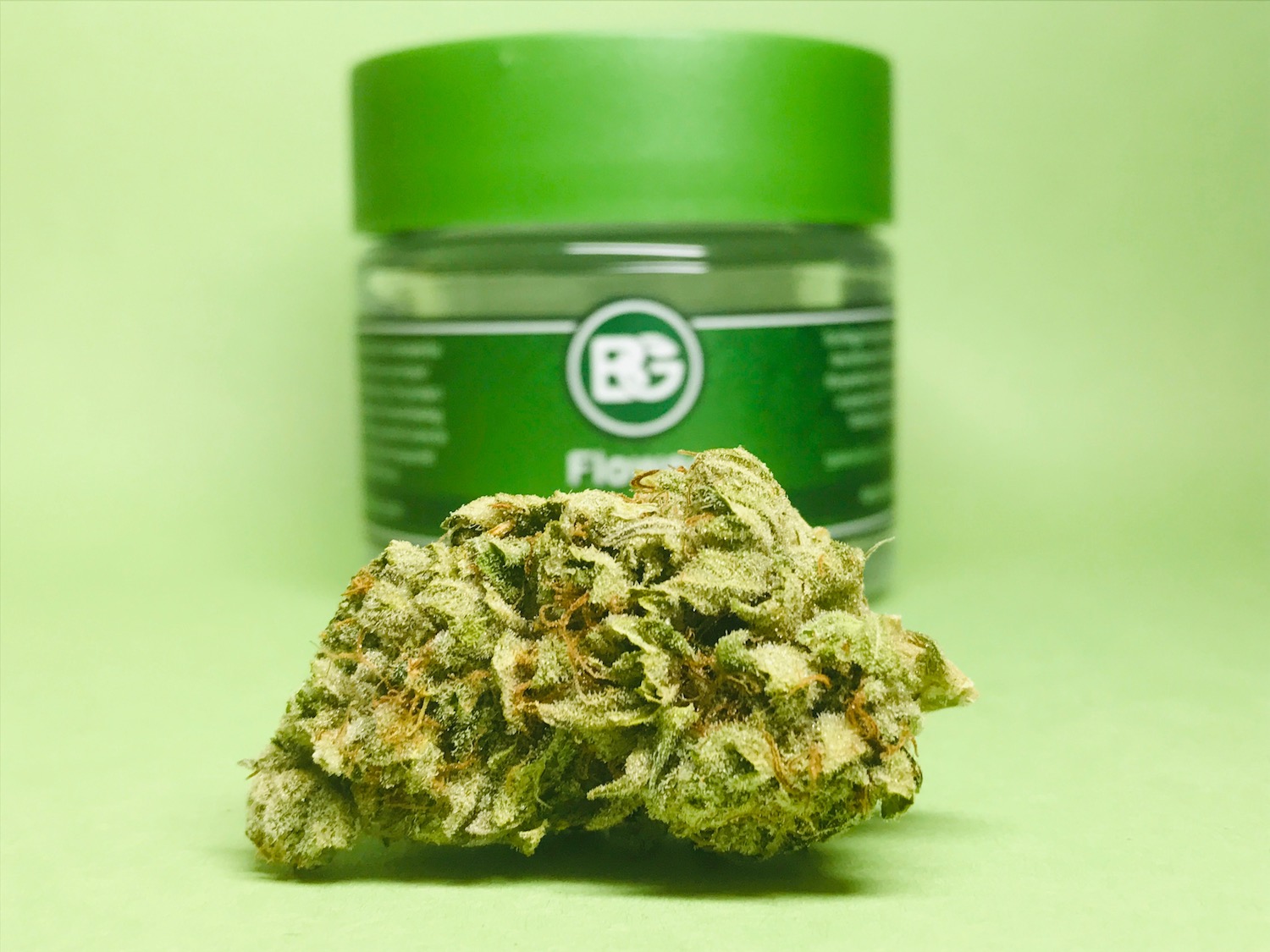 Photograph of product: RS54 | 1g | Bedford Grow