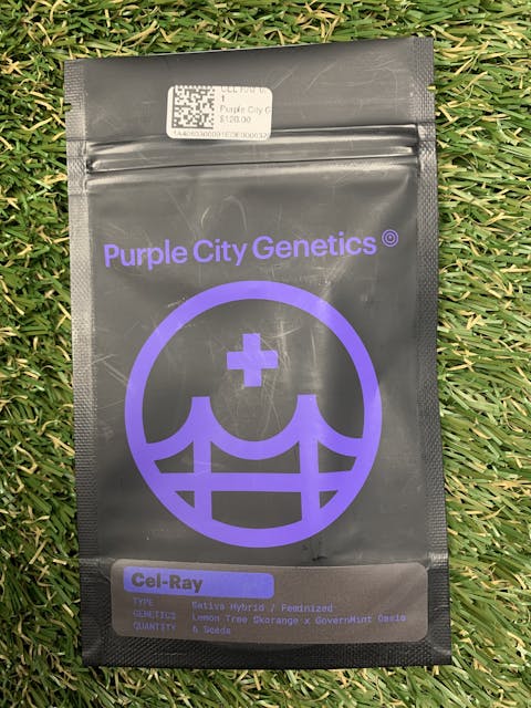 Photograph of product: CEL RAY 6PK FEMINIZED SEEDS - 