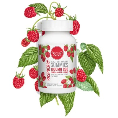 Photograph of product: Hemp Gummies | Raspberry | 500mg | CBD