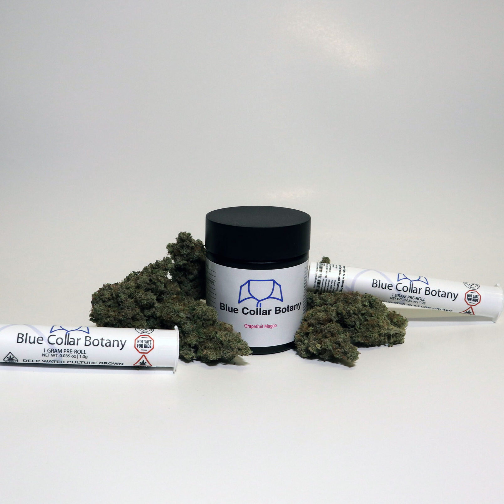 Photograph of product: Orange Tart | 0.5g
