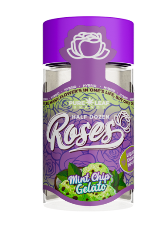 Photograph of Product: Mint Chip Gelato - Infused 6pk PR
