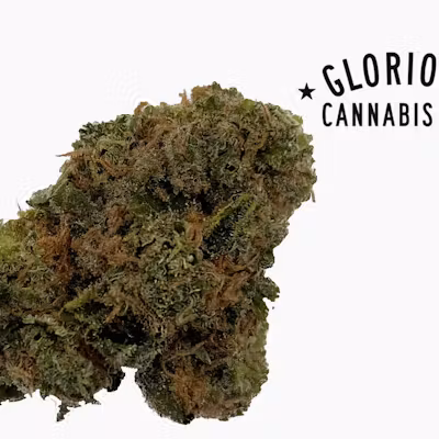 Photograph of product: GLORIOUS | Bulk Flower | Chem Runtz - 1g