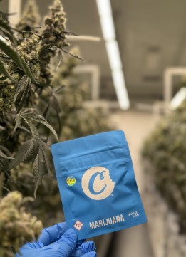 Photograph of product: COOKIES 3.5G MOONWALKERS