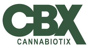 Photograph of product: CBX - FLOWER - - Oui'd - JET LAG OG - 3.5g