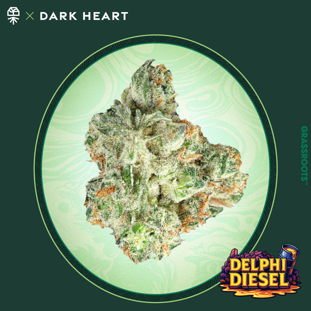Photograph of product: Delphi Diesel Whole Flower 1g