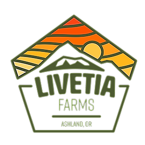 Photograph of product: Livetia | Rainbow Push Pops au chocolat Rosin