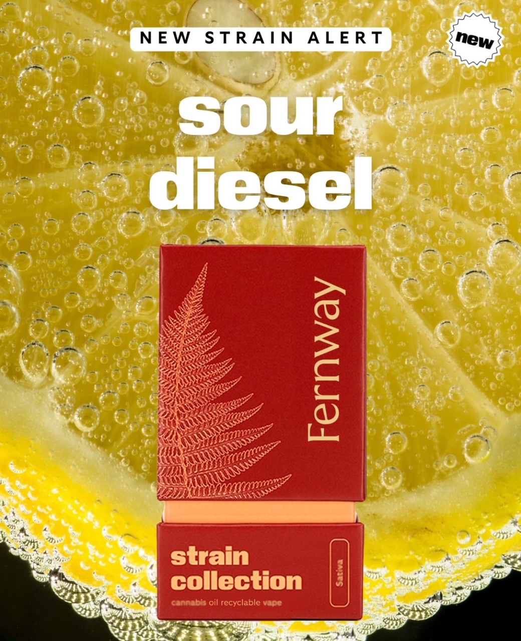 Photograph of product: Fernway | Sour Diesel | Oui'd Traveler Vape