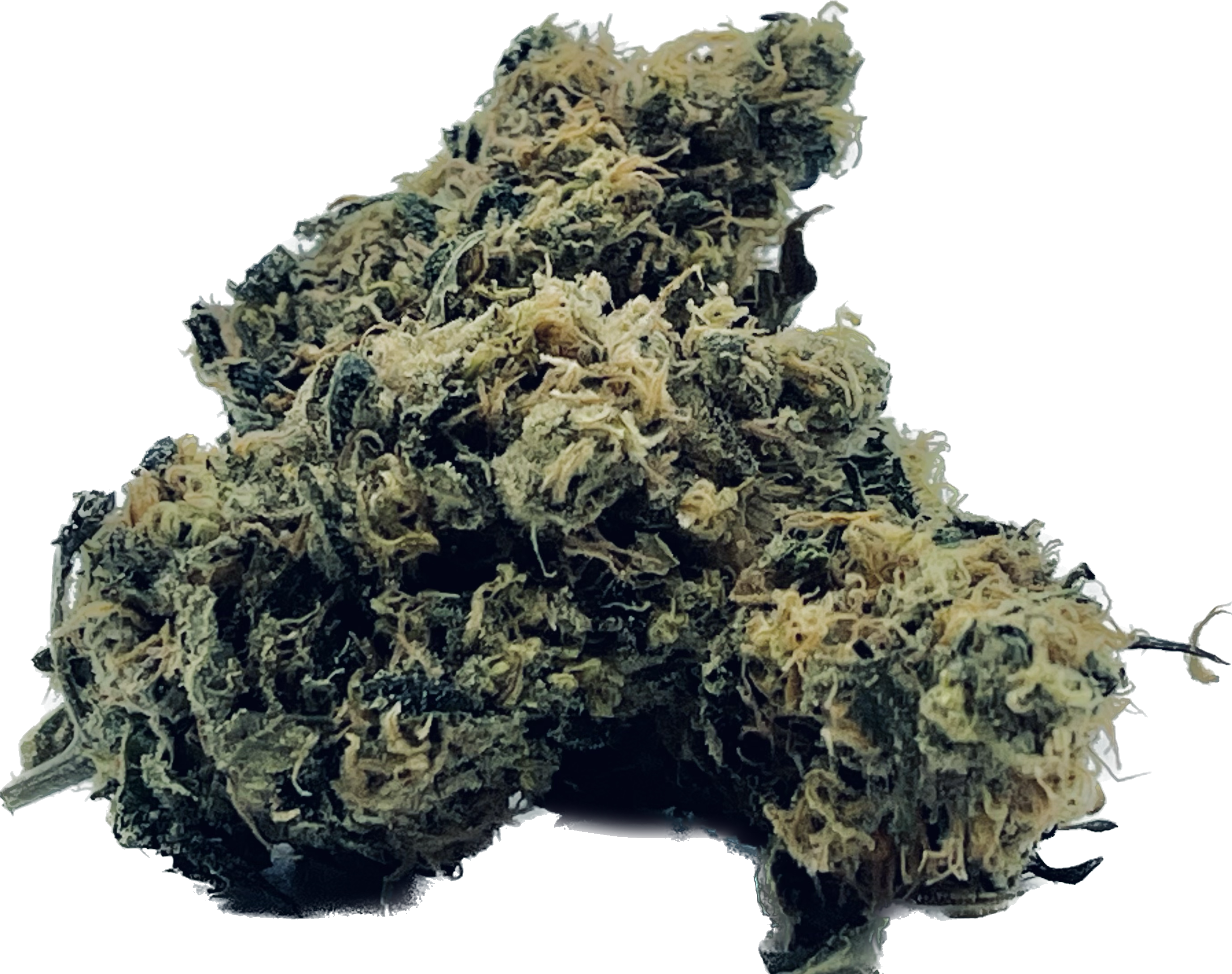 Photograph of product: Golden Goat - 2g
