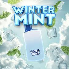 Photograph of product: Later Days - Winter Mint - 2g Disposable