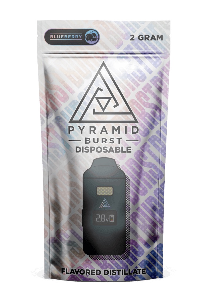 Photograph of product: Pyramid | Burst Disposable | Blueberry | 2g