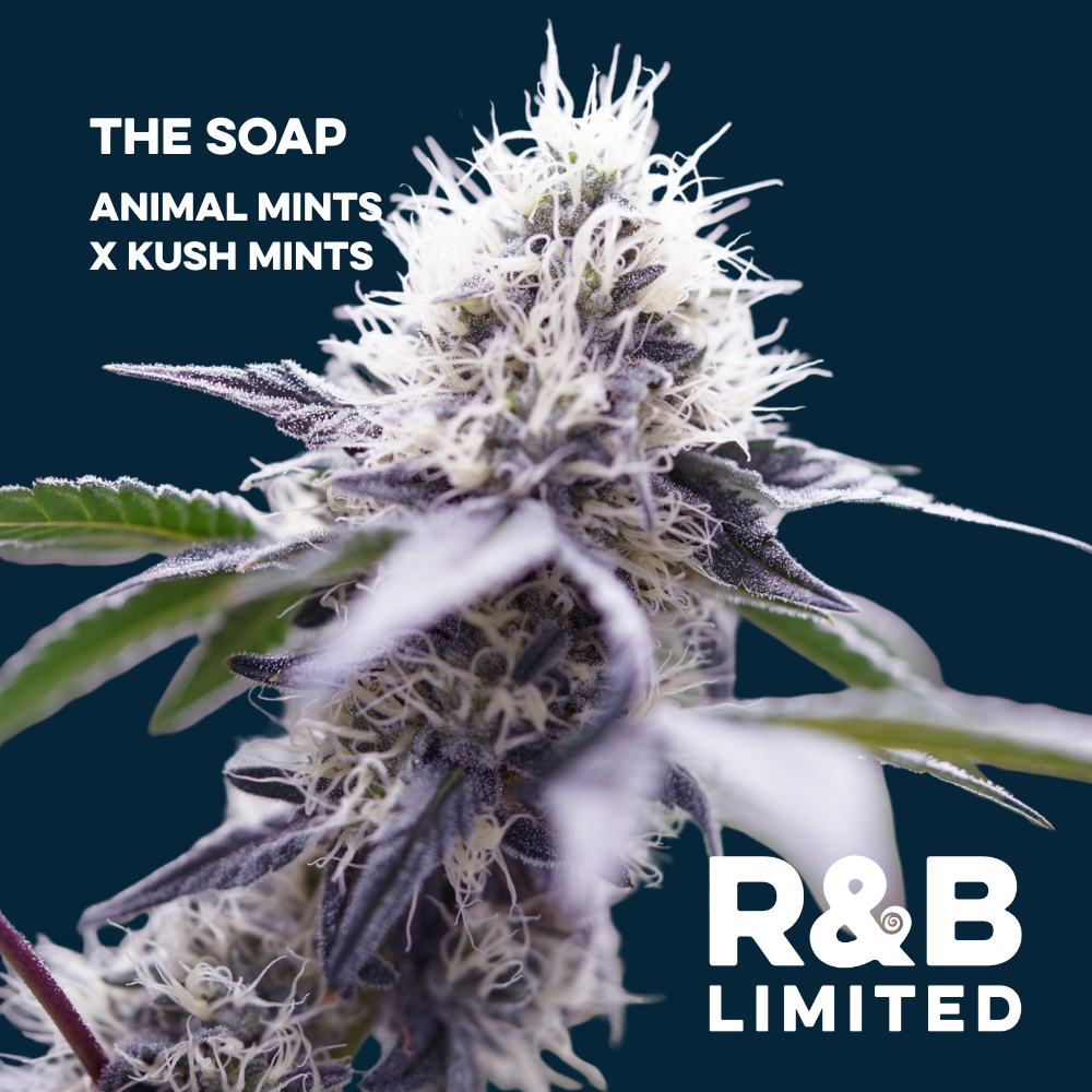 Photograph of product: The Soap | Flower | 3.5g