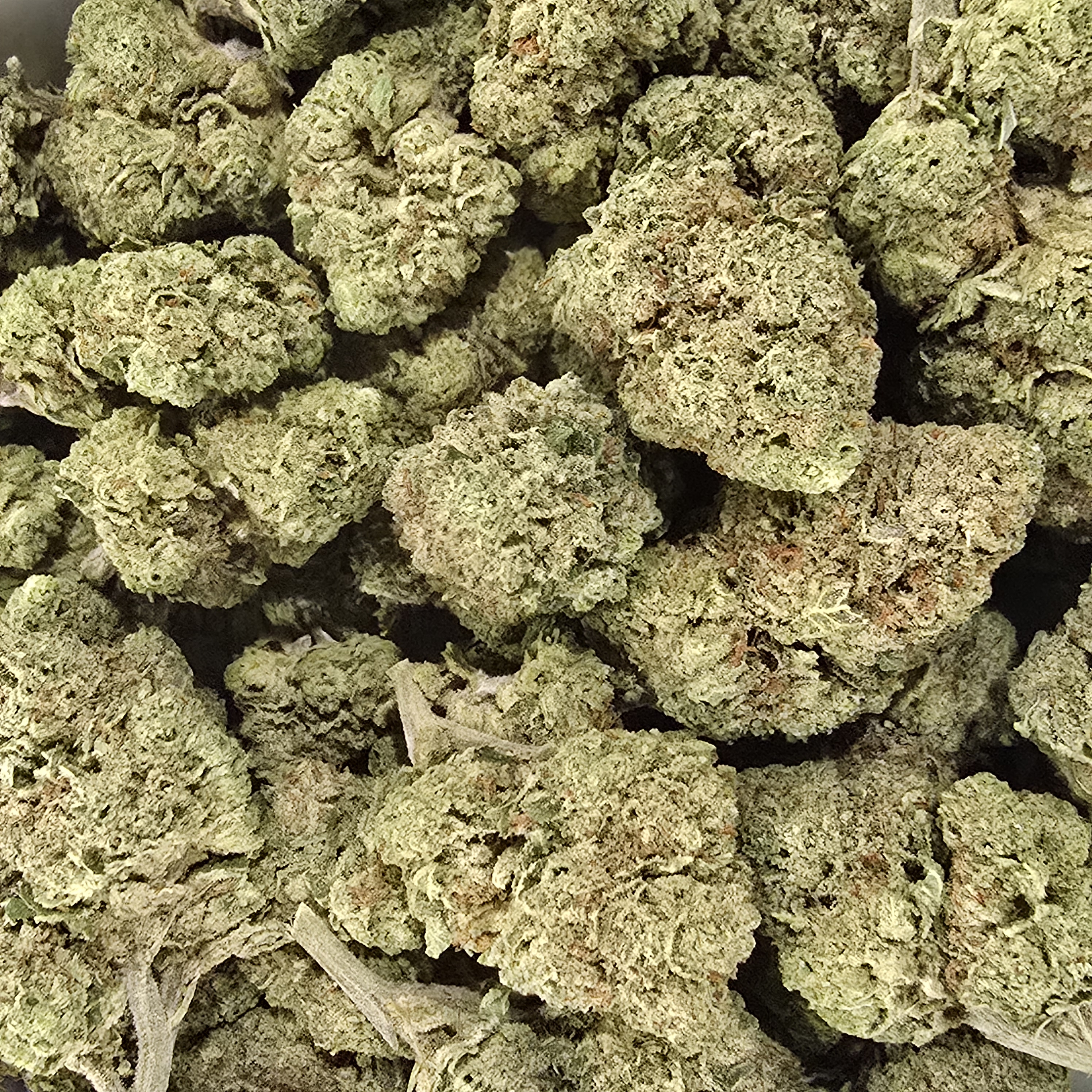 Photograph of product: Mimosa 2.73% Terps *[Dime Store Deal] - 1g