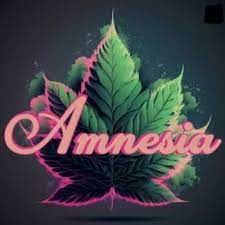 Photograph of product: Amnesia | Horchata | 1g | Cartridge