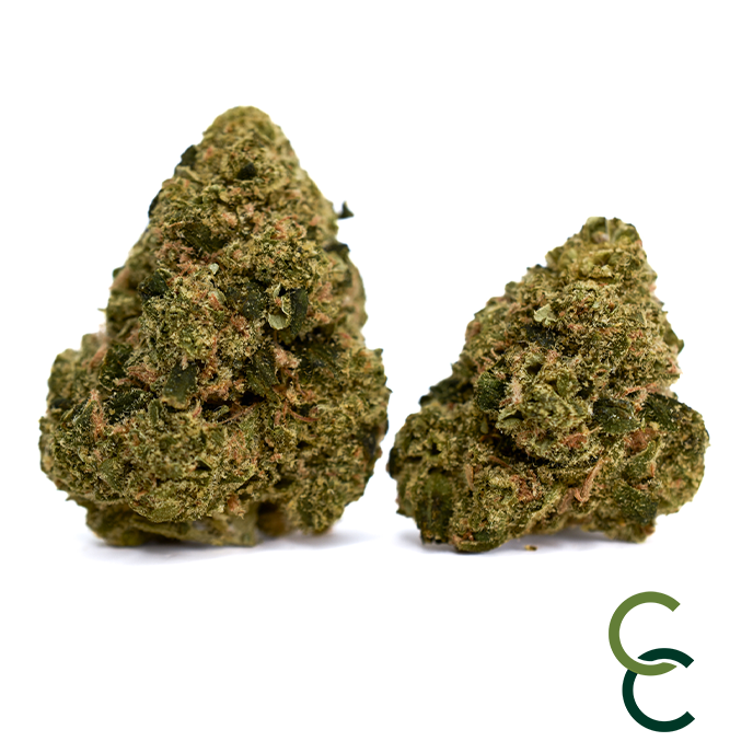 Photograph of product: Horseshoes - 3.5g