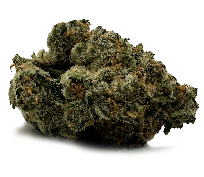 Photograph of product: Candela Apple Tartz Prepack Rec - 3.5g