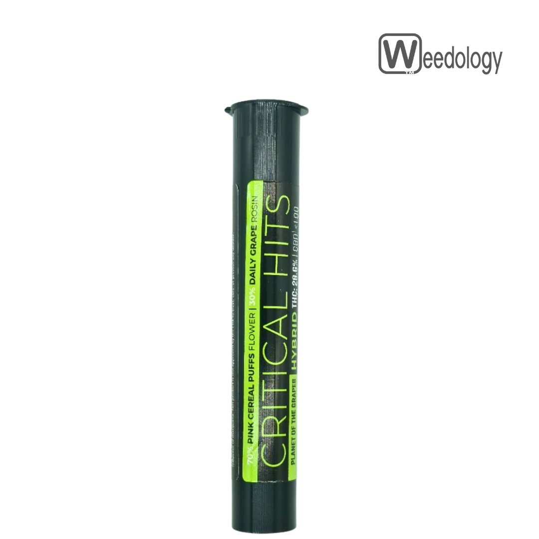 Photograph of product: Critical Hits 1g PLANET OF THE GRAPES Infused Pre-Roll