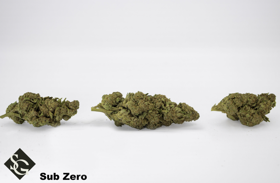 Photograph of product: Sub Zero | Switchgrass - 28g
