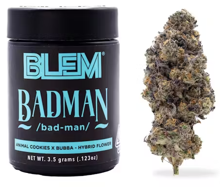 Photograph of product: BADMAN 10G I3