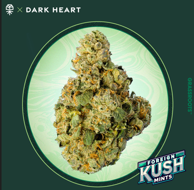 Photograph of product: Dark Heart Foreign Kush Mints Small Flower - 7g
