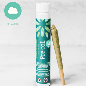 Photograph of product: Kush Mints  Pre-Roll