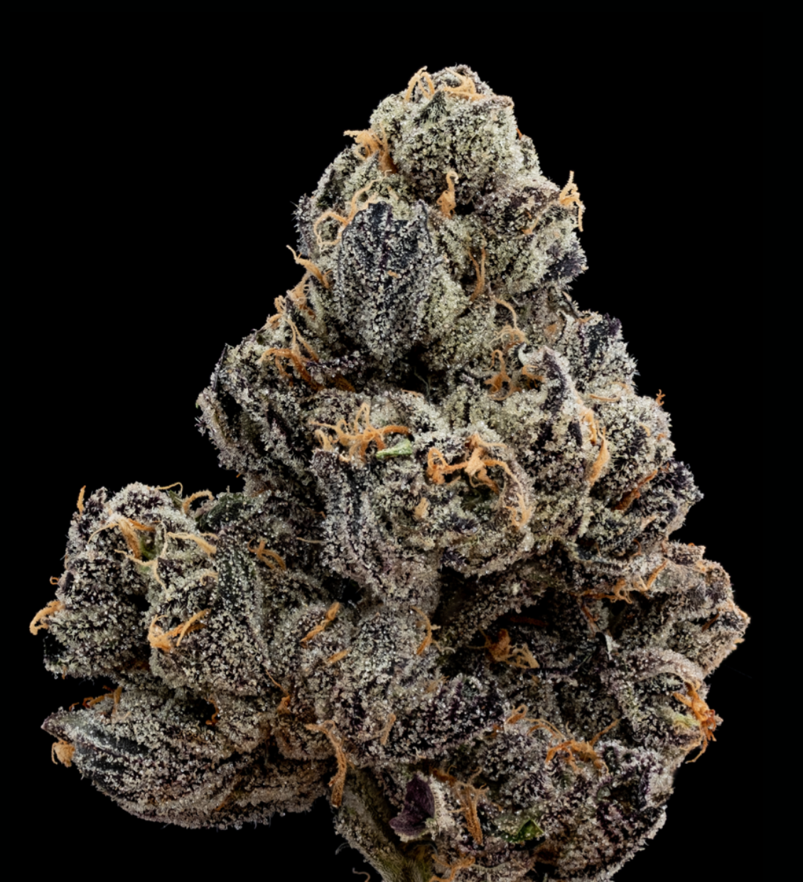 Photograph of product: Spritzer 1/8 Prepack - 28g